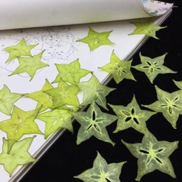 Decorative Flowers 5pcs Dried Pressed Exopy Dyed Carambola Fruits Slices Plant Herbarium For Po Frame Phone Case Bookmark Scrapbook Craft