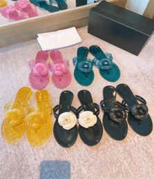 Crystal transparent flat sandals summer cool jelly shoes embroidered mesh sandal Designer lady pool beach Muller slippers with box8243608