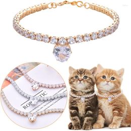 Dog Collars Zircon Heart Party Cat Accessories Rose Gold Silver Plated Neck Collar For Small Medium Dogs Adjustable Birthday Puppy Necklace