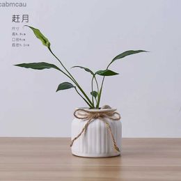 Vases Ceramic vase European style dining table hydroponics white ornaments living room flower arrangement stars home decoration