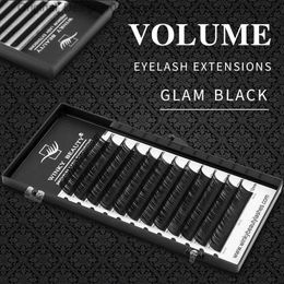 False Eyelashes Winky Beauty Personal Eyelash Extension B/C/CC/D Artificial Mink Cilias Soft Eyelash Extension 3D Russian Curling Eyelash Makeup Q240425