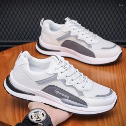 Casual Shoes Men Shoe Breathable Forrest Gump Trendy Small White Mesh Running Comfortable Sneakers