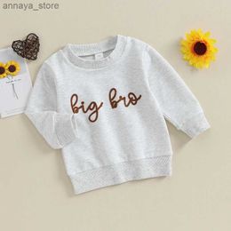 T-shirts Baby Boys Clothes Spring Autumn Hoodies Pullovers Tops Letter Embroidery Long Sleeves Kids Sweatshirt Childrens ClothingL2404