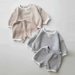 Clothing Sets Korea Baby Boys Waffle Clothes Set 2023 Autumn New Baby Girls 2PCS/Set Clothes Sweater+PP Pants Shorts 0-2Y Baby Sportswear Suit H240425