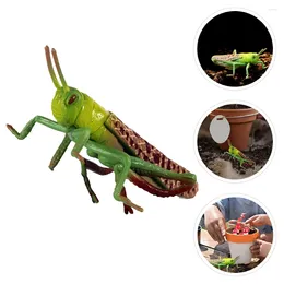 Garden Decorations Locust Animal Model Kid Cognitive Toy Kids Playthings Insect Ornament Outdoor Toys