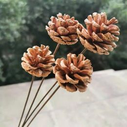 Decorative Flowers 10pcs Natural Pine Cone Bouquet Dried Garden Living Room Decor Flower Arrangement Decorations Po Props