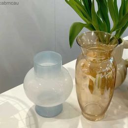 Vases Nordic Style Flower Vase Simple Glass Vase Hydroponic Pot Decorative Flower Bottle Home Desktop Decoration Art Crafts