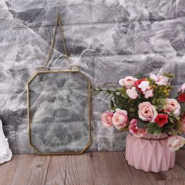 Frame Octagon Floating Hanging Photo Frame Metal Glass Portrait Picture Plant Specimen