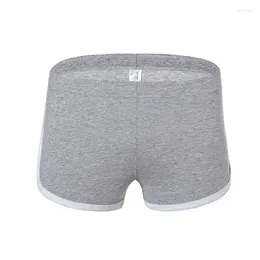 Underpants Men's Cotton Boxer Shorts Sports Comfortable Ventilation Large Size Stylish Mens Underwear Boxers Panties Men