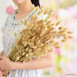 Dried Flowers 60PCS Bunny Rabbit Tail Grass Natural Dried Flowers Boho Home Decor Colorful Wedding Lagurus Ovatus Party Christmas Decortaion