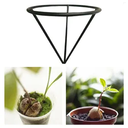 Vases Avocado Growing Triangular Holder Sturdy Rust Resistant Portable Tree Stand For Home Indoor Office Table