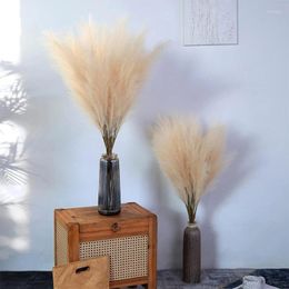 Decorative Flowers 5/10pcs Artificial Pampas Grass Bouquet Home Party Wedding Decoration Simulation Plant Reed Vase