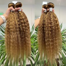 Wigs Wigs Megeen Highlight Kinky Straight Bundles Brazilian P4/27 Ombre Brown Coloured Hair Bundles Yaki Straight Human Hair