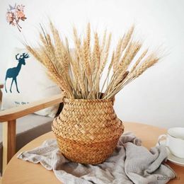 Dried Flowers Natural Wheat Ear Dried Flowers for Wedding Garlands Farmhouse Party Decoration Real Wheat Stalks Bouquet DIY Craft Home Decor