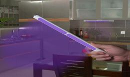 Family Top UVC Ultraviolet Disinfection Lamp Handheld Sanitizer UV Sterilization Lights Travel Wand uv flashlight Household Toile9771821