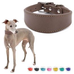 Collars Wide Padded Dogs Collar Genuine Leathers Puppy Collars for Italian Greyhounds Comfortable Pet Dogs Accessories Large Dog