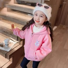 Jackets 2024 Autumn Winter Baby Girls Coats Cartoon Children Hooded Kids Clothing Warm Plush Princess Outerwear Casual Costumes