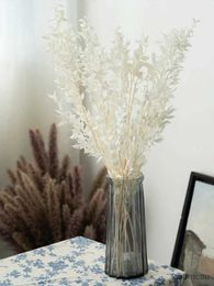 Dried Flowers Natural Real Ruscus Leaves Dried Flowers Bouquet White Eucalyptus Branches for Home Room Decor Wedding Arrangement Decoration