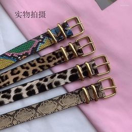 Belts Women Leopard Snake Zebra Pattern Snakeskin Cos Skin Cricle Pin Golden Buckle For Dress Jeans Suits