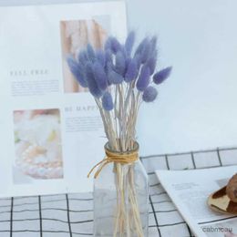 Dried Flowers 1 Set Hare Tail Grass Easter Celebration Bunny Tail Compact Dried Flower Bouquet Scandinavian Style Indoor Home Wedding Decor