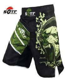 Soft Green Bear Fitness Breathable Mma Fighting Workout Shorts Tiger Muay Thai Boxing Shorts Kickboxing Shorts Pretorian Yokkao6547556467