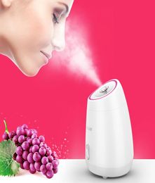 Fruit vegetable Facial Face Steamer household Spa beauty instrument Thermal nano spray water whitening face steamer machine CX20073061124