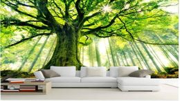 3d wallpaper custom mural nonwoven Wall stickers tree forest setting wall is sunshine paintings po 3d wall mural wallpaper8064927