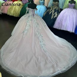 Light Pink Long Sleeve Off The Shoulder Ball Gown Quinceanera Dresses Sequined Appliques Lace Corset Vestidos De 15 Anos