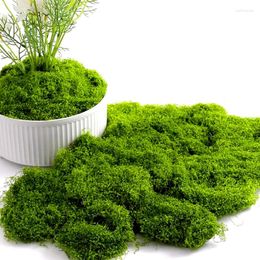 Decorative Flowers Artificial Eternal Life Moss Green Plants Mini Landscape Fake Grass DIY Crafts Garden Living Room Furnishings Home Decor