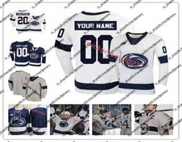 College Hockey Wears Stitched Custom Jersey Hockey Mens Youth 2 Cole Hults 25 Casey Bailey 17 Evan Barratt 11 Trevor Hamilton 24 V1986566