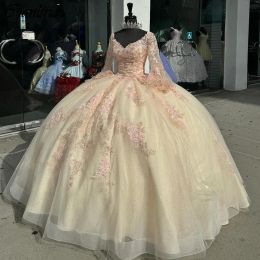 Champagne Long Flare Sleeve Ball Gown Quinceanera Dresses Sweetheart Appliques Lace Corset Vestidos De 15 Anos