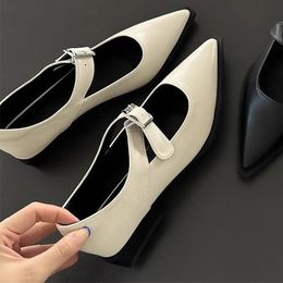 Fashion Womens Sandals Summer Elegant Womens Pointed Low Heels Casual Low Heel Block Womens Sandals mary jane shoes 240425