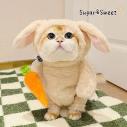 Costumes Cat costume bunny pet funny clothes Pet Cosplay Prop Pet Cat Clothes Puppy Dog Cat Funny Small Dog Kitten Clothing cosplay