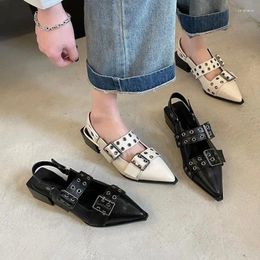 Casual Shoes Pointy Mary Jane For Women 2024 Summer Model With Skirt Small Leather Retro Chunky Single