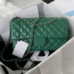 10A Mirror Quality Designer Classic Double Flap Bags 25cm Medium Womens Handbags Real Leather Caviar Lambskin Green Quilted Purse Crossbody Shoulder Chain Box Bag