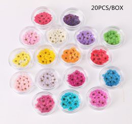 20pcsjar Dried Flowers Nail Art Decorations Colorful Natural Dry Flower 3d Beauty Real Floral Stickers UV Gel Manicure Decals6402321
