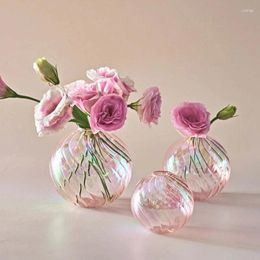 Vases Iridescent Ball Colourful Round Vase Clear Glass Living Room Flower Pot Home Decor Tabletop Plants