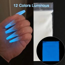 Liquids 10G/Bag Luminous Nail Art Powder 11colors Glow In Dark Pigment Nails Professional Dip Dust Manicure Glitter Nail Powder