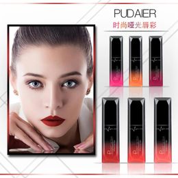 selling Pudaier21 Colour matte liquid lipstick foreign trade lip gloss lip gloss and non fading lip gloss 240425