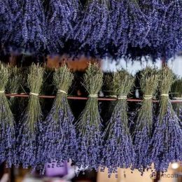 Dried Flowers Dried Flower Preserved Natural Druy Fragrance Lavender For Home Decor Bridal Bouquets For Wedding Party Decoration Holiday Gifts