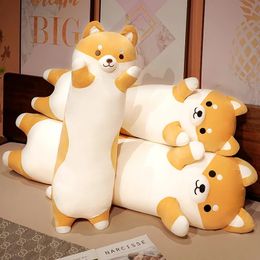 50150cm Giant Long Shiba Inu Dog Plush Toy Throw Pillow Stuffed Soft Animal Corgi Chai Cushion Birthday Valentine Present 240420