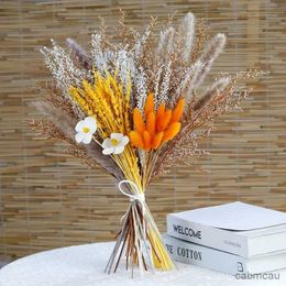 Dried Flowers Fluffy Pampas Grass Bunny Tail Flowers Wedding Arrangement Decoration Natural Phragmites Dried Flowers Bouquet Boho Home Decor