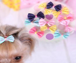 doggy stylz Dog Grooming lovely Handmade Designer Dog Clip Cat Puppy Bows For Hair Aessories5245680