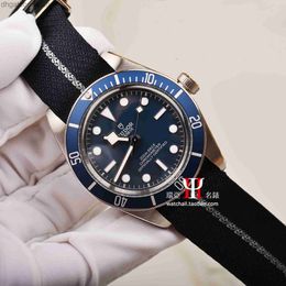 High Grade Version Tudery Designer Wristwatch Dirudder 1958 39mm Fine Steel Automatic Mechanical Canvas Belt Mens Watch 79030b Watches