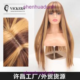 Womens intermediate Colour split bangs long straight hair headband piano Coloured wig