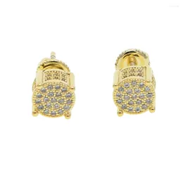 Stud Earrings Men Iced Out Mens Gold Color Mirco Pave With Screw Pin Back Hip Hop Party Earring Jewelry