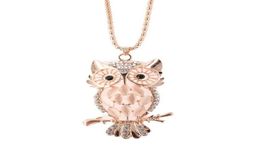 Opal Owl Sweater Chain Necklaces Fashion Trendy Women Statement Charm Animal Design Pendant Necklace Lady Girl Jewelry Accessories9097330