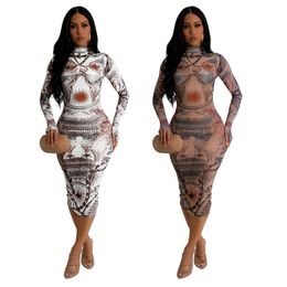 Designer Sexy Mesh Dress Women Long Sleeve Printing Midi Dresses Summer See Through Sheer Dress Party Night Clubwear Wholesale 11014