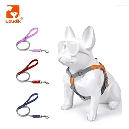 Dog Collars Loudik Portable Big Harness And Leash Set Adjustable Leather Made Webbing Small Medium Large Traction Pet Leads Accessories