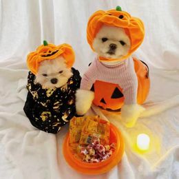 Dog Apparel Pet Cute Pumpkin Hat Cat Halloween Dress Up Headwear Supplies Cosplay Costume Kitten Puppy Teddy Holiday Gifts